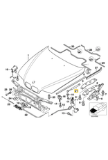 BMW Pair Hood strut for BMW E-39