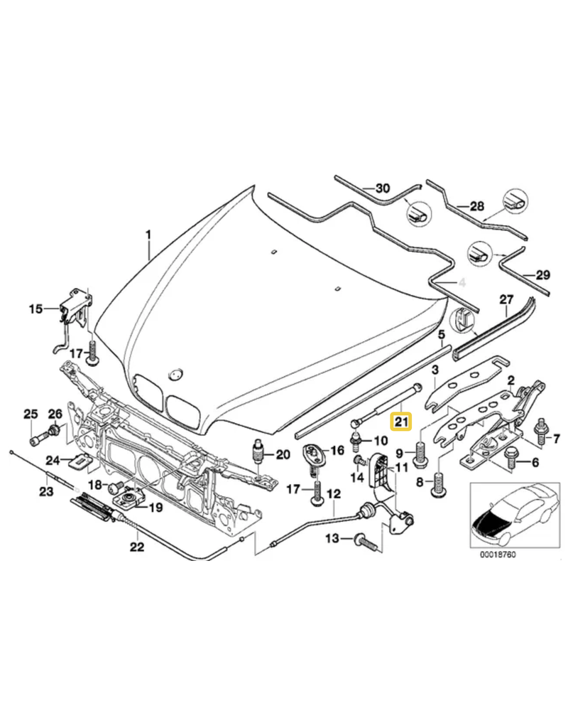 BMW Pair Hood strut for BMW E-39