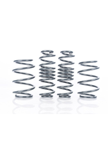 Racing Line Spring kit