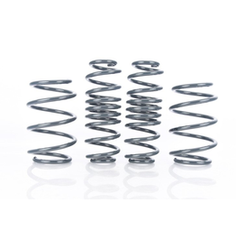 Racing Line Spring kit