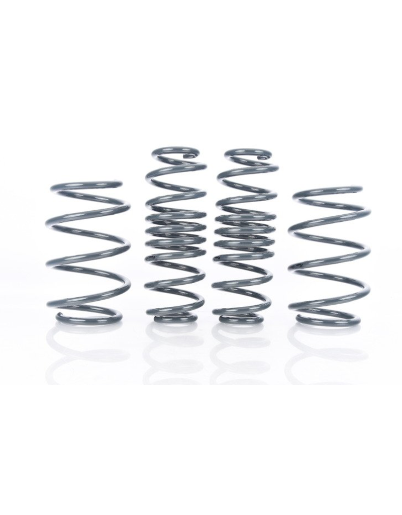 Racing Line Spring kit