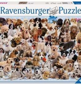 Ravensburger Puzzle 1000pc: Dogs Galore