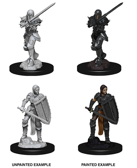 Human Fighter Miniature DnD D&D Pathfinder RPG