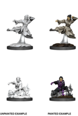 Wizkids D&D NM Primed Mini: Female Human Monk