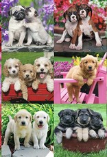 Ravensburger Puzzle 500pc : Puppy Pals