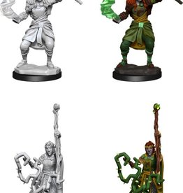 Wizkids D&D Mini: NM Primed: Firbolg Female Druid