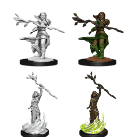 Wizkids D&D Mini: NM Primed: Human Druid
