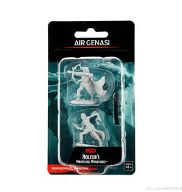 Wizkids D&D Mini: NM Primed: Air Genasi Female Rogue