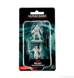 Wizkids D&D Mini: W15: Human Male Bard