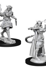 Wizkids D&D Mini: W15: Tiefling Female Sorcerer
