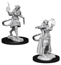 Wizkids D&D Mini: W15: Tiefling Female Sorcerer