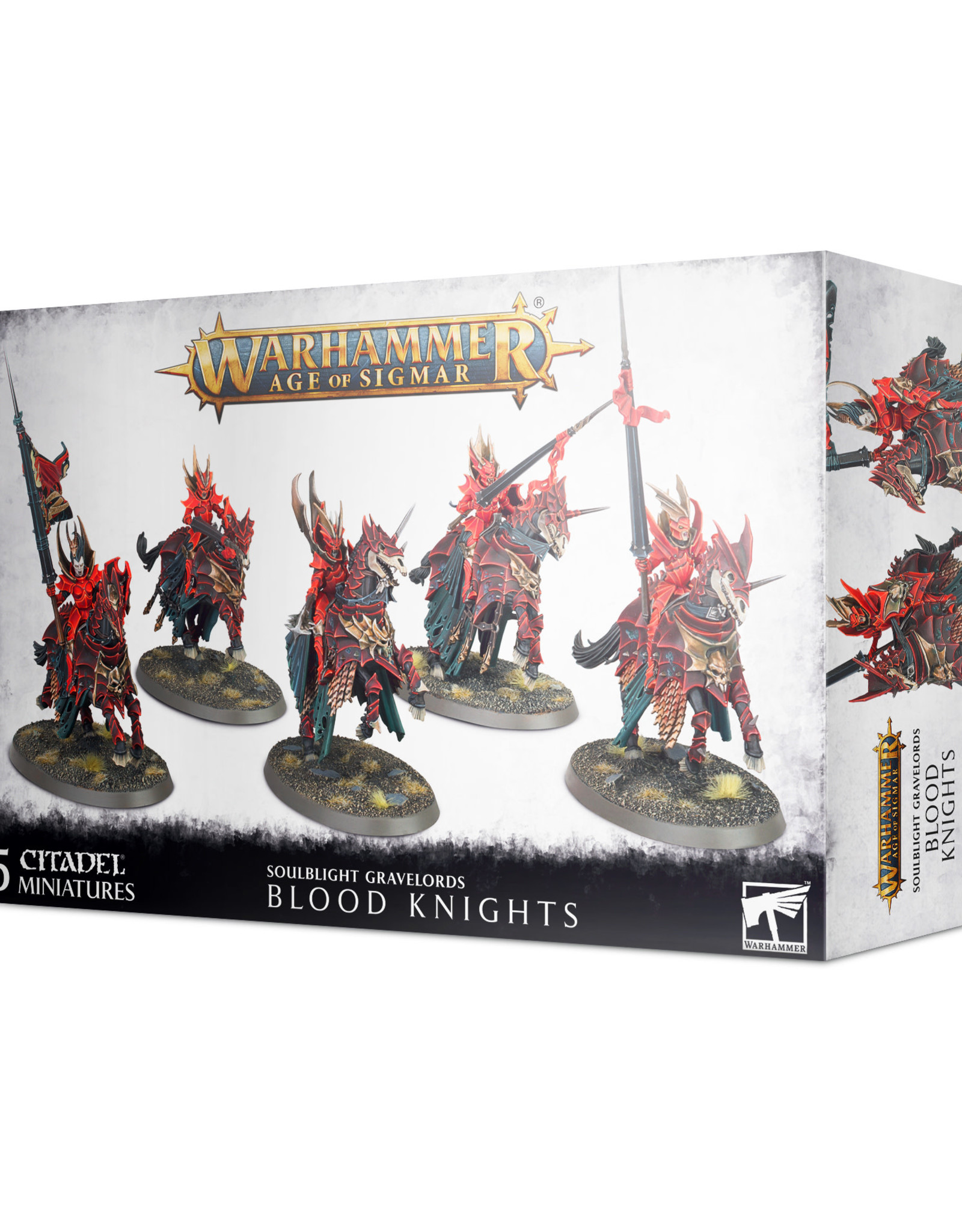 Games Workshop Warhammer AoS: Soulblight Gravelords Blood Knights