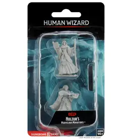 Wizkids D&D Mini: NM Primed: Female Human Wizard