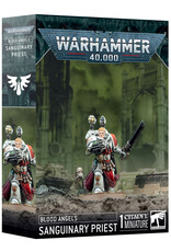 Games Workshop Warhammer 40K: Blood Angels Sanguinary Priest