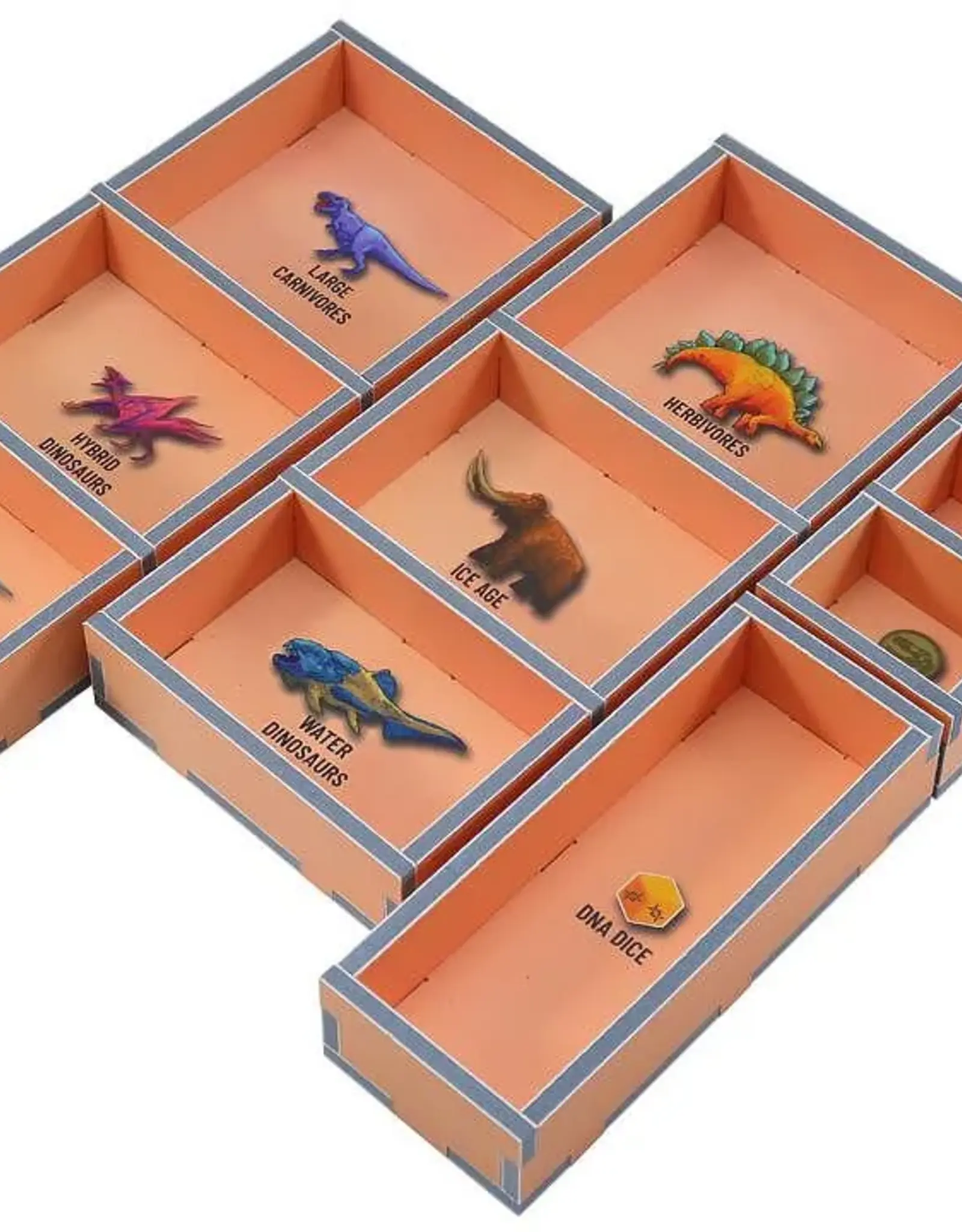 Folded Space Folded Spcae Box Insert: Dinosaur World