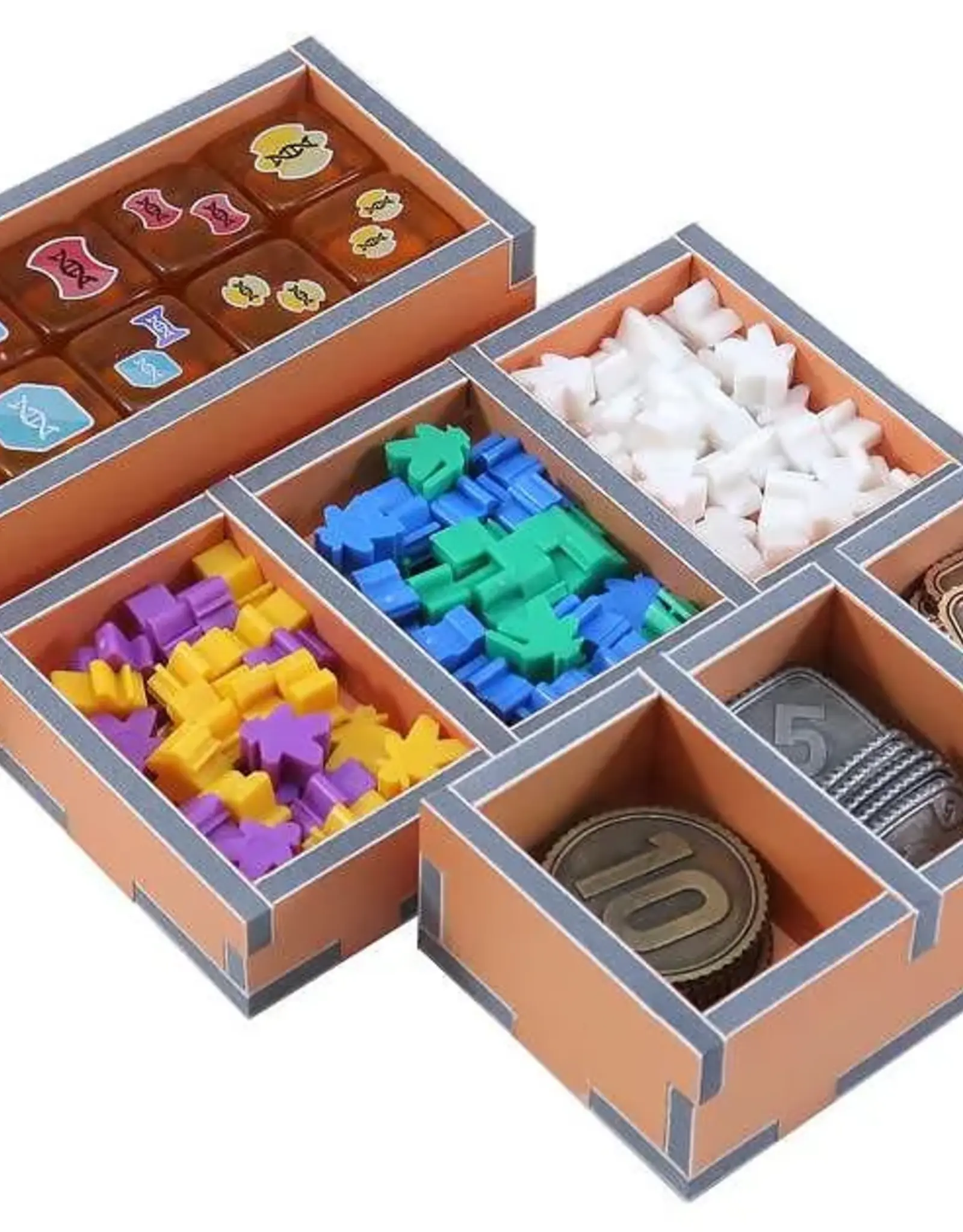 Folded Space Folded Spcae Box Insert: Dinosaur World