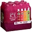 Sparkling Ice Sparkling Ice Variety Pack, 17 oz, 12 ct