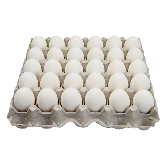 Kirkland Signature Large Eggs Cage Free, 5 dz