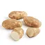 Husky Potato Norkotah 90 ct, 50 lb