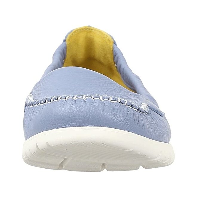 SAS Sunny Periwinkle 2810-454