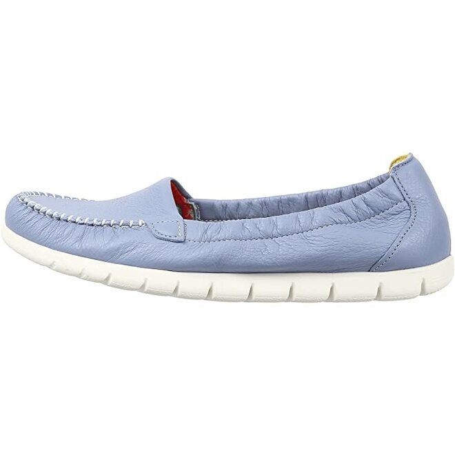 SAS Sunny Periwinkle 2810-454