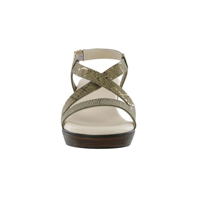 SAS Delight Olive Gold 3160-643