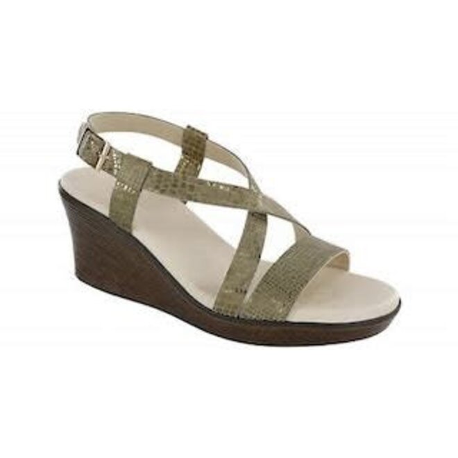 SAS Delight Olive Gold 3160-643