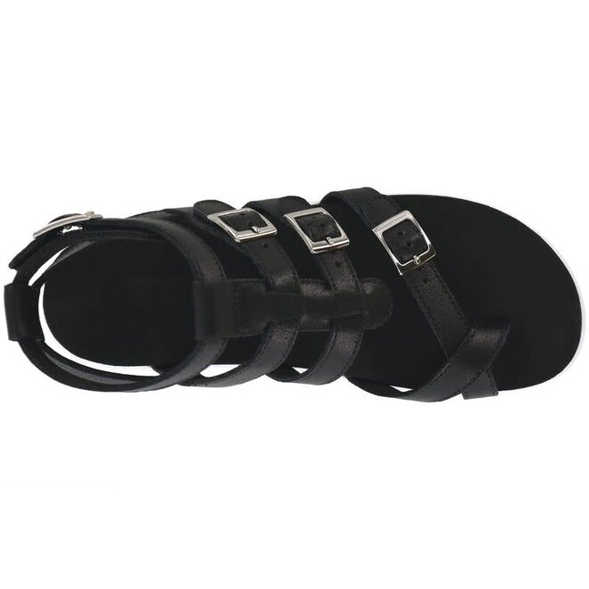 SAS Aria Gravity 3732-826
