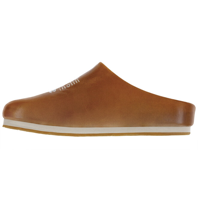 SAS Hinny Chestnut 3853-195