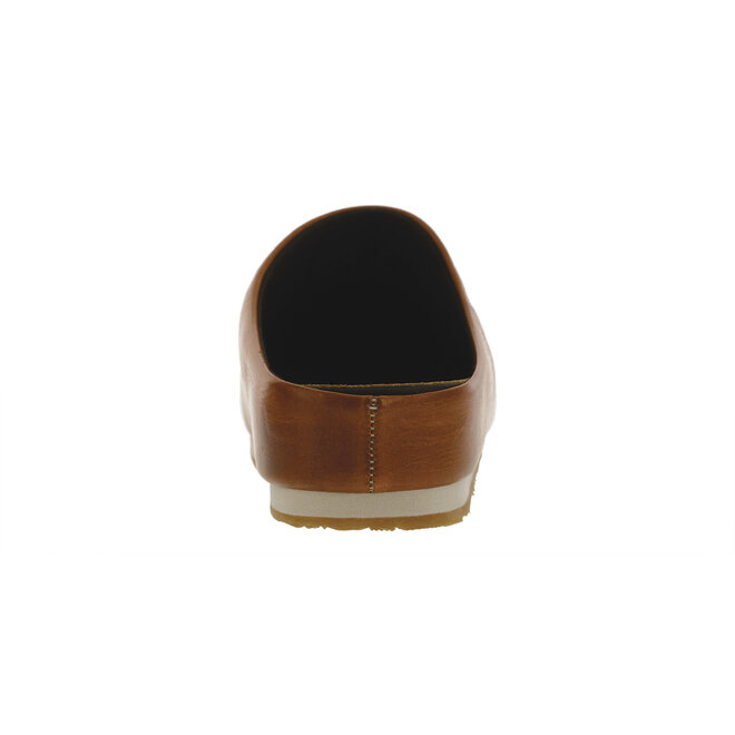 SAS Hinny Chestnut 3853-195