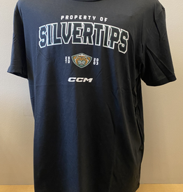 20th Anniversary Jersey - Replica - Everett Silvertips