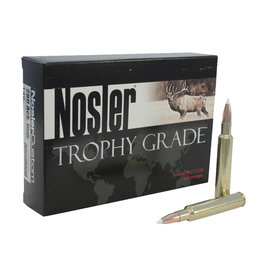 Nosler 308 Winchester 165gr Ballistic Tip (20 ct.)
