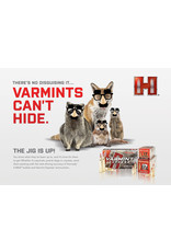 Hornady Hornady Varmint Express .22-250 Rem 55 Gr V-Max - 20 Count