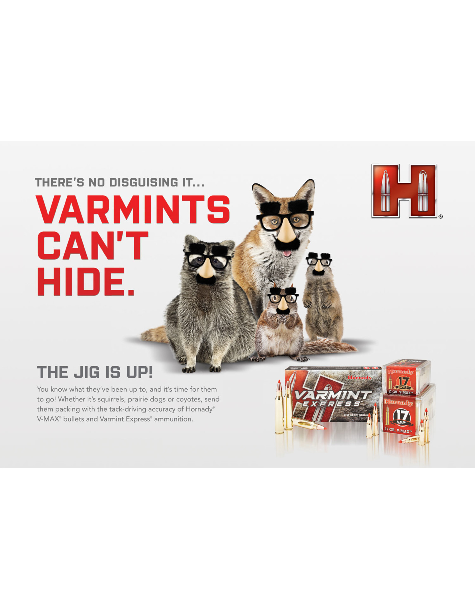 Hornady Hornady Varmint Express .22-250 Rem 55 Gr V-Max - 20 Count