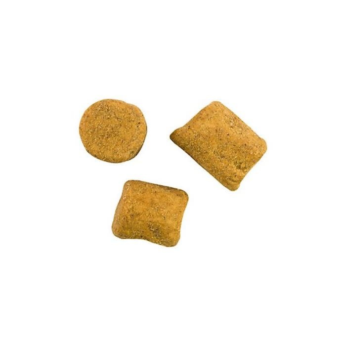 Berkley PowerBait 6oz Catfish Bait Chunks - Liver & Cheese - Larry's  Sporting Goods