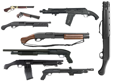 Other Firearms