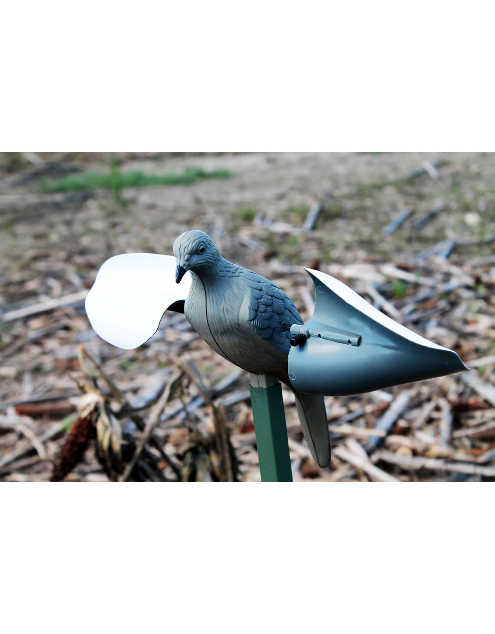 Mojo Decoys MoJo Outdoors Wind Dove