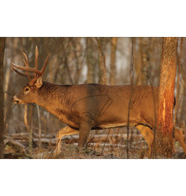 Birchwood Casey EZE-Scorer Whitetail Deer - 23" x 35" - 2 Count