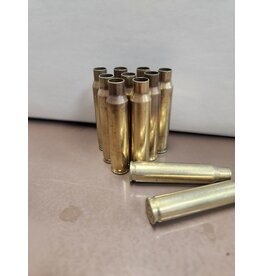 .223/5.56 Polished Range Brass - 100 Count