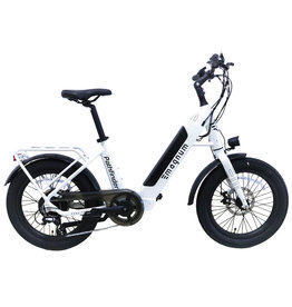 ELECTRIC BIKE MAGNUM PATHFINDER - Snow