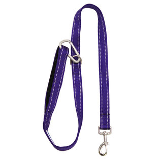 Bay Dog - Leash Purple 4'