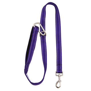 Bay Dog Bay Dog - Leash Purple 6'