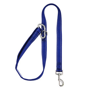 Bay Dog - Leash Blue 4'