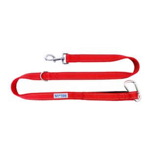 Bay Dog - Leash Red 4'