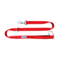 Bay Dog - Leash Red 4'