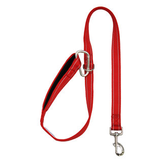 Bay Dog - Leash Red 6'