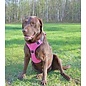 Bay Dog - Pink Harness Large