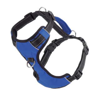 Bay Dog - Blue Harness XLarge