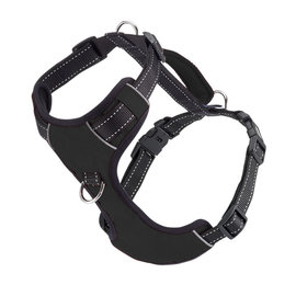 Bay Dog - Black Harness XLarge
