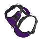 Bay Dog Bay Dog - Purple Large Harness